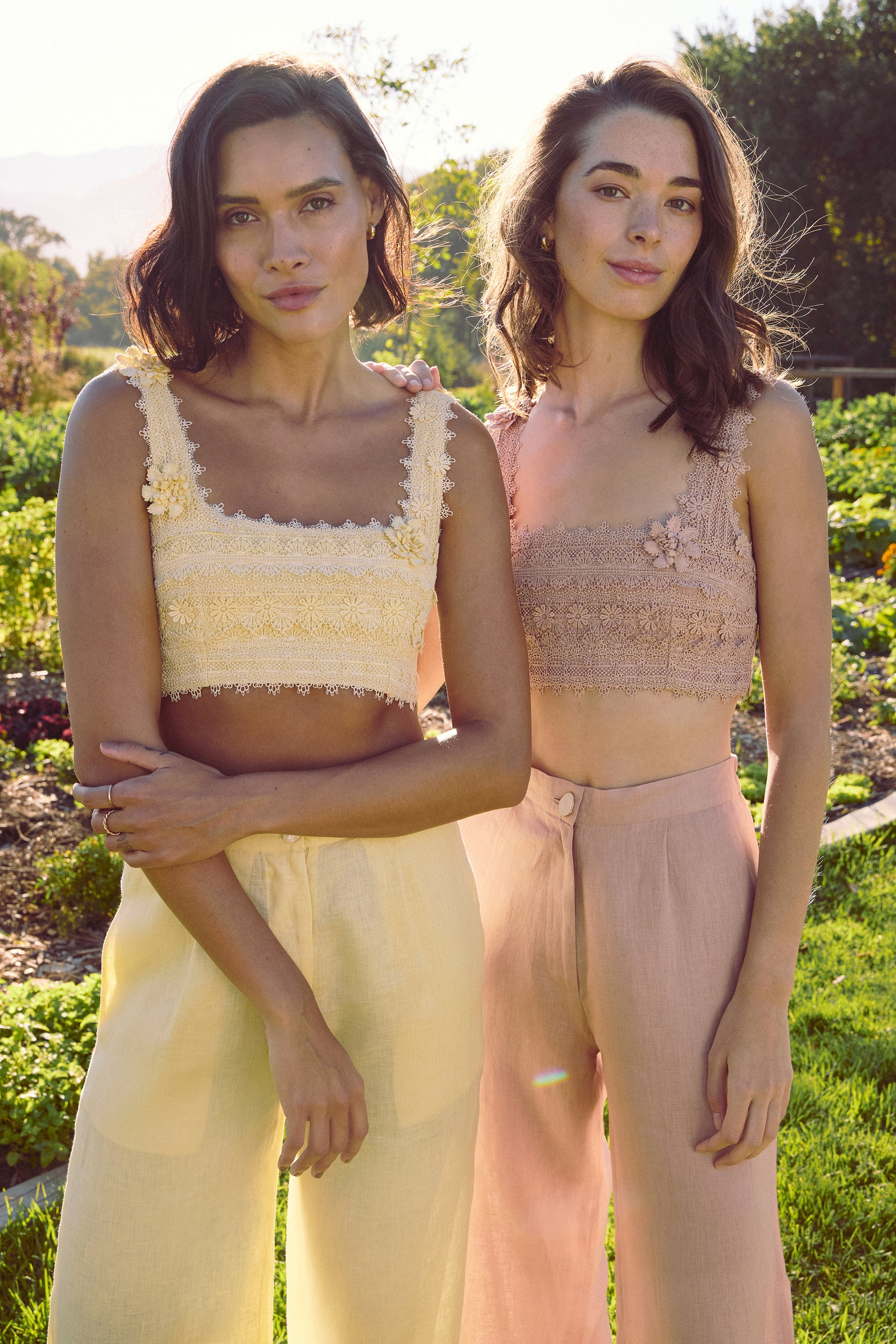Adderley Bandeau Top (Lemon)